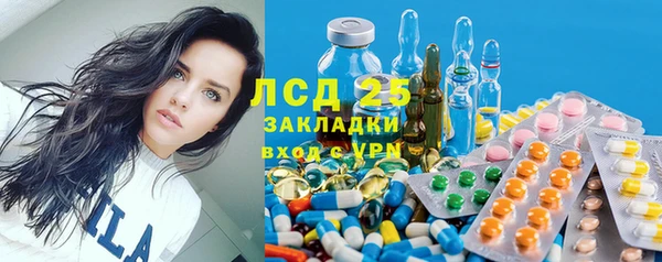 ПСИЛОЦИБИНОВЫЕ ГРИБЫ Арсеньев