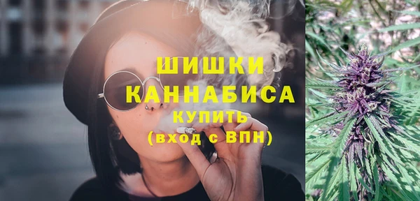ПСИЛОЦИБИНОВЫЕ ГРИБЫ Арсеньев