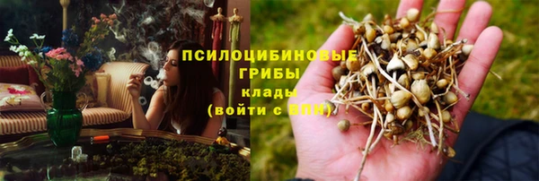 ПСИЛОЦИБИНОВЫЕ ГРИБЫ Арсеньев